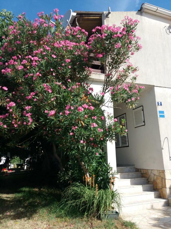 Apartman Nona Povljana Buitenkant foto