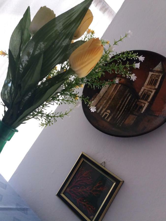 Apartman Nona Povljana Buitenkant foto